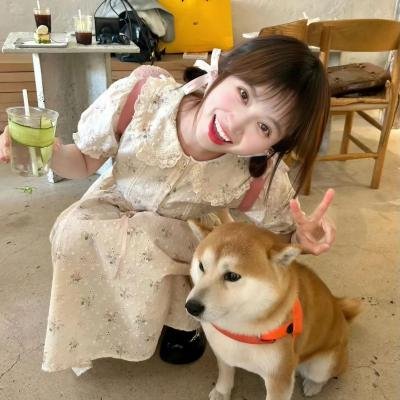 夏树